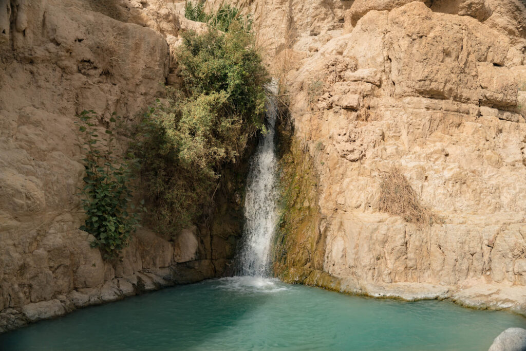 Ein Gedi