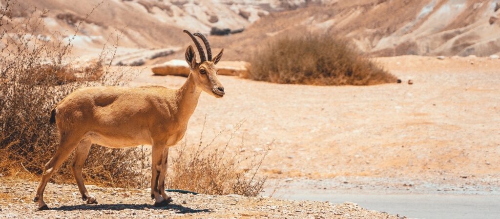 Israel