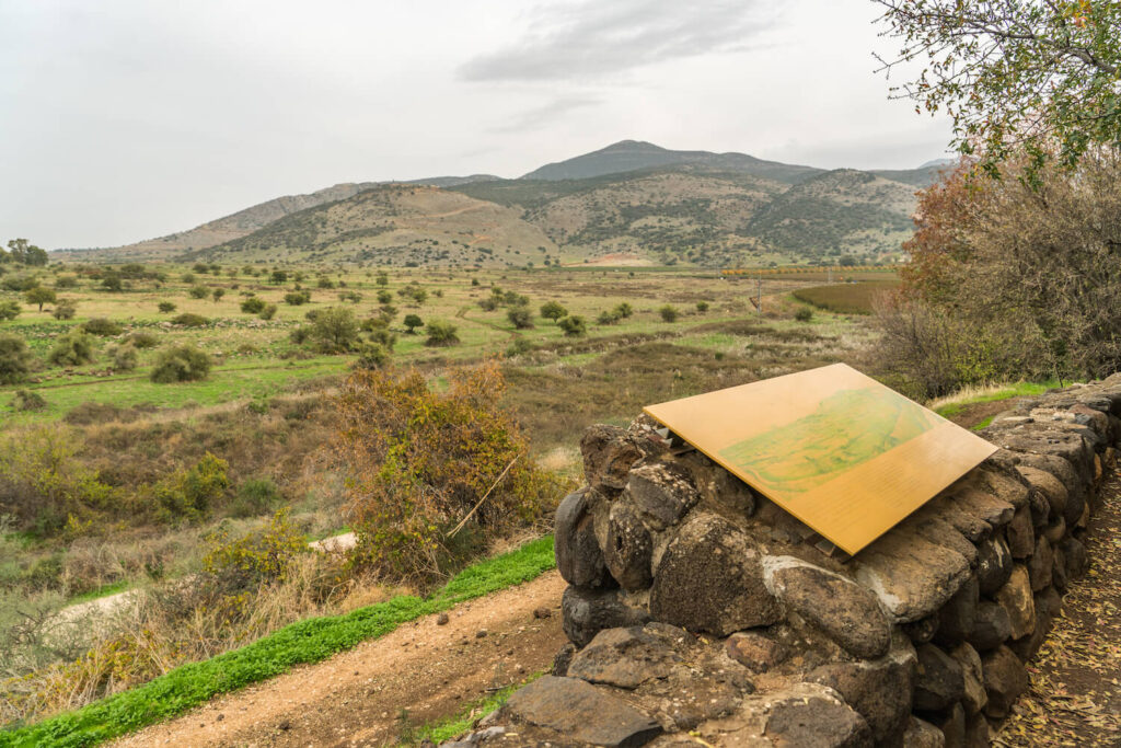 Tel Dan Nature Walk