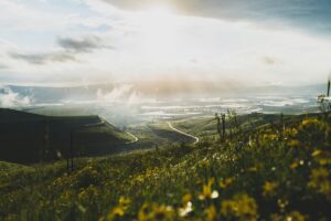 View from Golan Heights with field of flowers