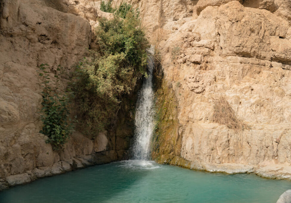 Ein Gedi
