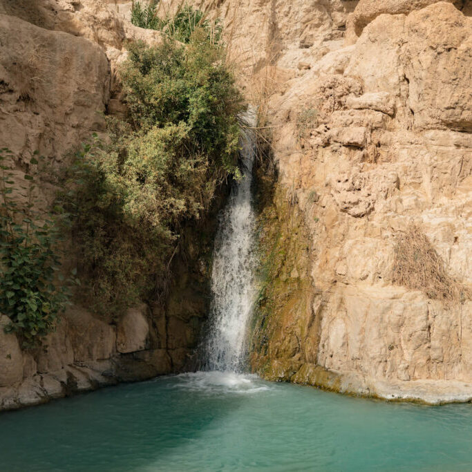 Ein Gedi