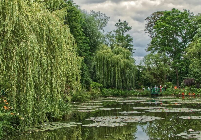 Lush green garden and pond at Claude Monet Foundation
