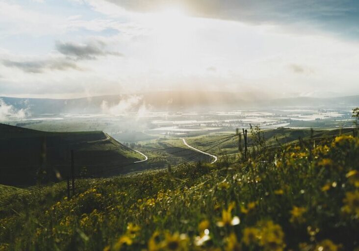 View from Golan Heights with field of flowers