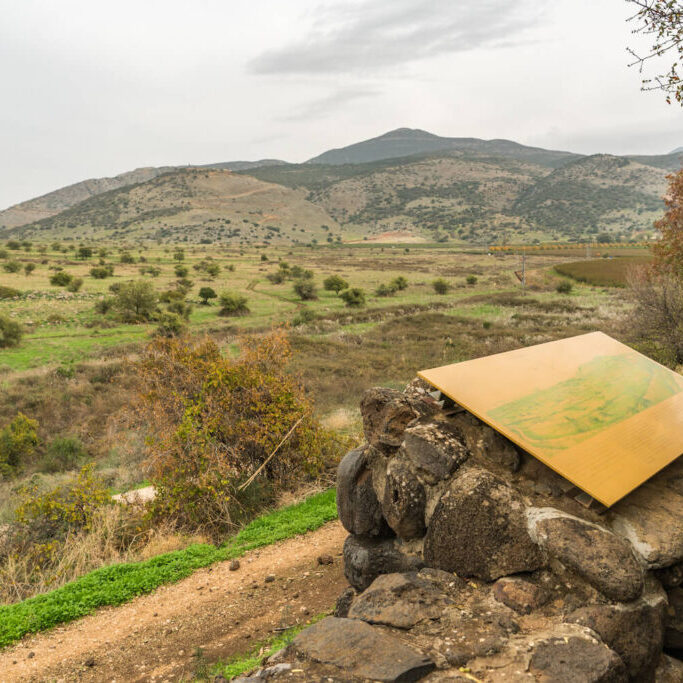 Tel Dan Nature Walk