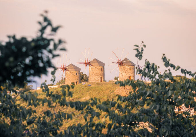 Tree foliage slightly obscuring the windmills of Patmos just prior to sunset.