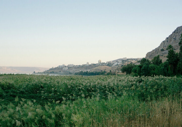 Field alongside the city of Tiberias